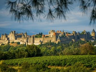 Panoramablick auf die Festung Carcassonne mit Steinmauern und Türmen über Weinbergen und Bäumen in Südfrankreich.