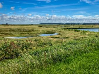 Wide green marshland with water channels near Groote Keeten in North Holland under blue sky with white clouds and distant hills.