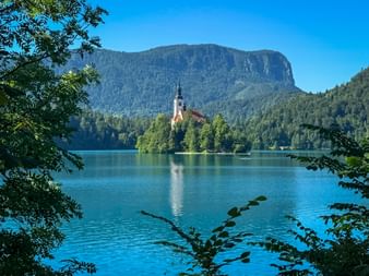 Bleder See mit Inselkirche, eingerahmt von Bäumen. Wallfahrtskirche Mariä Himmelfahrt auf der Insel, bewaldete Berge im Hintergrund.