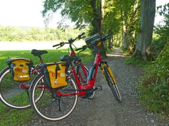 Eurobike E-Bikes in the forest