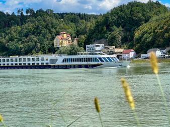 MS Manon river cruise ship on the Danube at Aschach with forested hills and buildings in the background, yellow flowers in foreground.