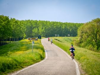 Radfahrer auf einem asphaltierten Radweg durch die grüne Poebene mit von Bäumen gesäumter Strecke und blauem Himmel in der Region Mantua-Venedig.
