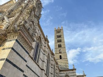 Dom Campanile in Siena