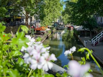 Weiße Blumen rahmen den Oudegracht-Kanal in Utrecht mit Booten entlang baumbestandener Ufer und historischen Gebäuden im Hintergrund.