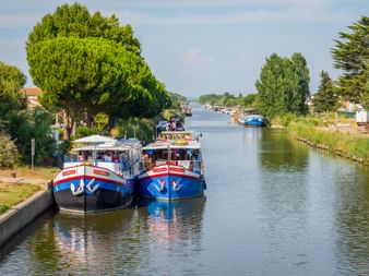 Two blue and white passenger boats moored along a tree-lined canal in Provence. Large green trees frame the waterway under a clear sky.