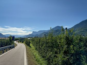 Cycle path through Lana