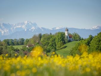 Holzhausen pilgrimage church on a green hill surrounded by trees, with yellow flowers in foreground and snow-capped Alpine peaks in background.