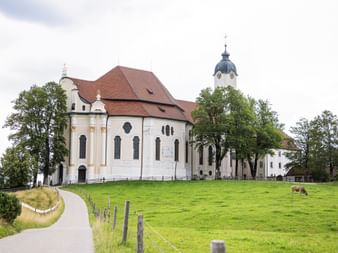 White baroque Wieskirche church with red roof and bell tower on green meadow. A paved path leads to the church, with a cow grazing nearby.