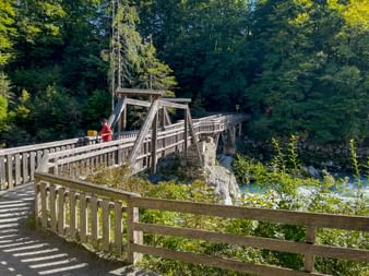 Cyclist on wooden footbridge with railings crossing the Saalach river near Lofer, surrounded by dense green forest on a sunny day.