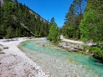Riverbank of the Isar