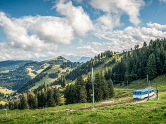 Blauer Rigibahn-Zug auf Gleisen durch grüne Almwiesen mit bewaldeten Bergen und bewölktem Himmel nahe dem Vierwaldstättersee, Schweiz.