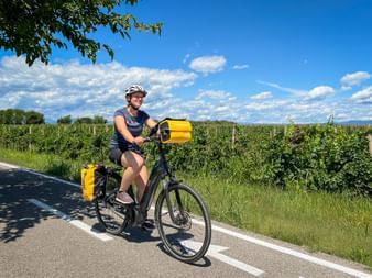 Radfahrerin mit gelben Packtaschen fährt durch Vipava-Weinberge auf der Smaragdroute in Slowenien unter blauem Himmel mit weißen Wolken.