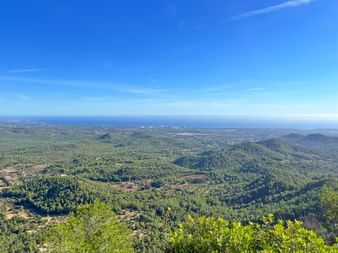 Weite Aussicht von erhöhter Position auf Mallorca mit grünen bewaldeten Hügeln, landwirtschaftlichen Feldern und dem blauen Mittelmeer am Horizont.