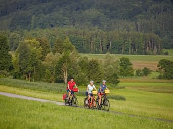 Drei Radfahrer mit Helmen und Packtaschen fahren auf einem Weg durch grüne Felder mit dichtem Wald im Hintergrund.