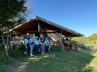 Group of people posing with brown and white alpacas in front of a wooden shelter with metal roof under clear blue sky.