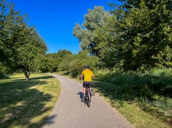 Cyclist in yellow jersey riding on paved bike path through green landscape with trees under clear blue sky in Provence-Camargue region.