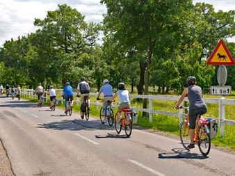 Cycling group on the Smaragd route