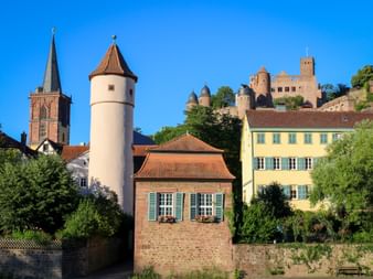 Wertheim am Main