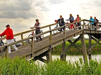cyclists cross wooden bridge