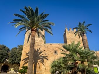 Palm trees in front of Porta del Moll in Mallorca