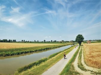 Radfahrer auf asphaltiertem Weg neben Kanal in der Poebene zwischen goldenen Weizenfeldern. Blauer Himmel mit Wolken, Bäume in der Ferne.