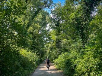 Zwei Radfahrer auf einem von Bäumen gesäumten Schotterweg bei Osoppo. Dichtes grünes Laub rahmt den Weg ein, blauer Himmel darüber.