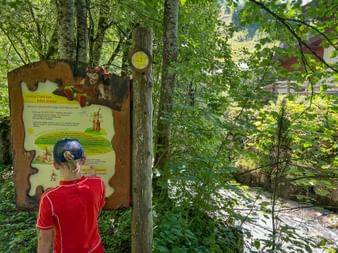 Child in red shirt reading an educational sign at Seisenbergklamm gorge. A rushing stream flows through lush green forest with birch trees.