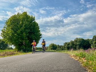 Zwei Radfahrer mit gelben Taschen fahren auf einer asphaltierten Landstraße in Friaul, umgeben von grünen Feldern und Bäumen unter blauem Himmel.