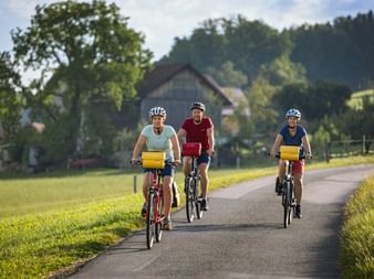 Drei Radfahrer mit Helmen und gelben Lenkertaschen fahren auf asphaltiertem Weg durch österreichische Landschaft mit Bauernhof und Bäumen.