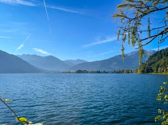 Panoramic view of Zell am See lake with blue water, surrounding mountains, and overhanging larch branches under a clear blue sky.