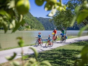 Family of four cycling on Danube bike path. Two children and two adults wearing helmets ride beside the river with forested hills in background.