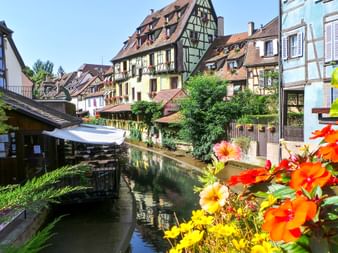 Flowers in front of a half-timbered house in Colmar