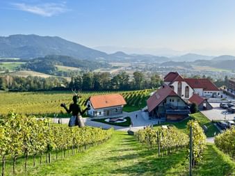 Weinbergreihen führen zum Weingut Taggenbrunn mit traditionellen Gebäuden und roten Dächern. Berge und grüne Täler im Hintergrund unter blauem Himmel.