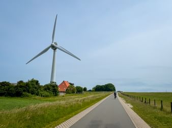 Cyclist on paved path with large wind turbine and red-roofed house in Lemmer. Green fields and trees line the road under blue sky.