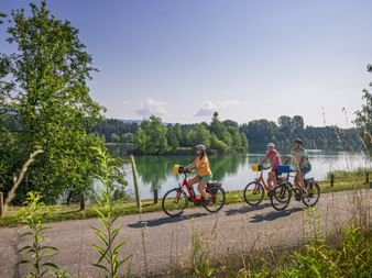 Radfahrer am Elberadweg
