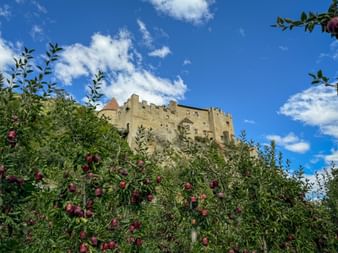 Apple trees in front of Kastelbell Castle