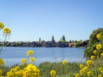 Gelbe Wildblumen rahmen einen ruhigen Seeblick mit Häusern und Bäumen am gegenüberliegenden Ufer bei Halfweg, Groote Braak, unter blauem Himmel.