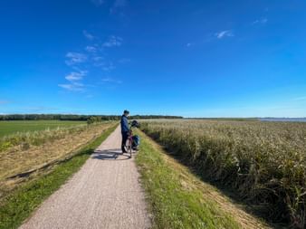 Cyclist riding on paved path between agricultural fields under blue sky on the Berlin-Stralsund route.