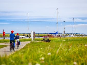 Two cyclists with red helmets riding on a path beside green meadow toward a marina with sailboats on the Baltic Sea coast.