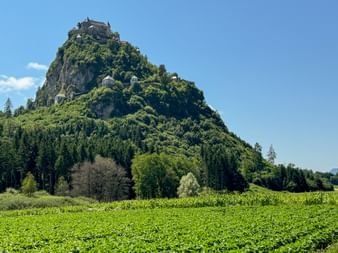 Burg Hochosterwitz thront auf einer steilen bewaldeten Felsformation in Kärnten, mit grünen Feldern im Vordergrund und blauem Himmel.