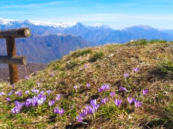 Kolovrat mit Ausblick auf die julischen Alpen