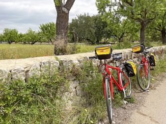 stone wall bikes