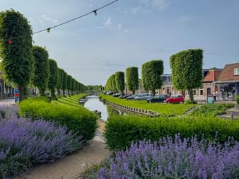 Canal in Stavoren Voorstraat lined with tall trimmed trees and purple flowering plants. Traditional Dutch houses and parked cars visible along the street.