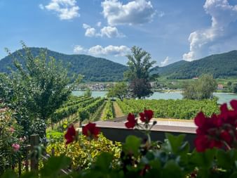 Gastgarten in Dürnstein mit Blick auf Donau
