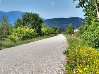 Impressions of the Alpe-Adria Cycle Path
