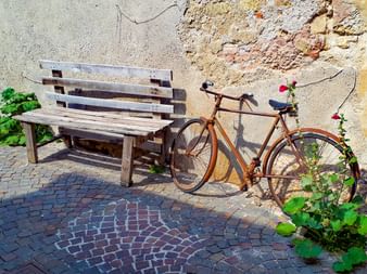 Sunny bench in Bassano