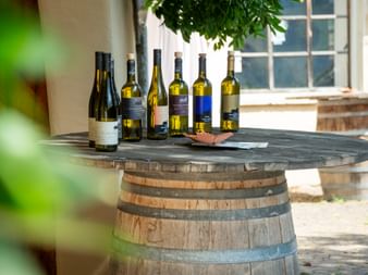 Wine bottles during tasting