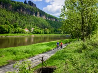 Zwei Radfahrer auf asphaltiertem Weg entlang der Elbe mit grünen Wiesen, bewaldeten Felsen und Häusern am gegenüberliegenden Ufer.