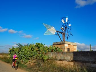 Cyclist on bike path next to typical windmill