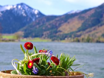 Blumengesteck am Schliersee mit Berge im Hintergrund